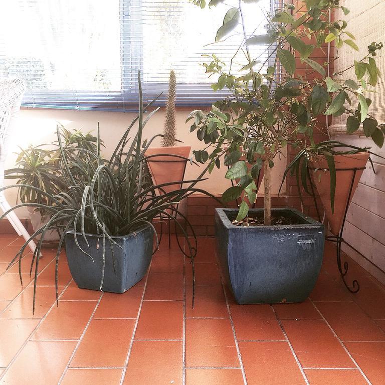 Villa Cetta B&B サン・レオーネ エクステリア 写真